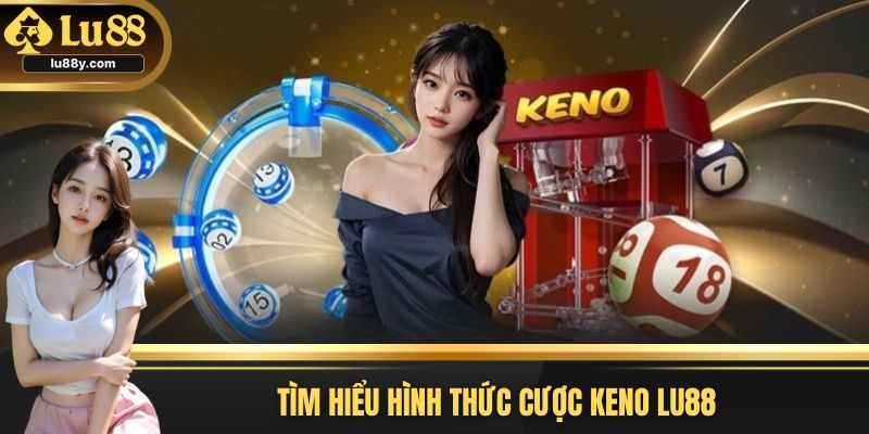 Đôi nét khái quát về sản phẩm LU88